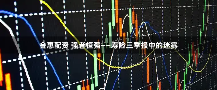金惠配资 强者恒强——寿险三季报中的迷雾