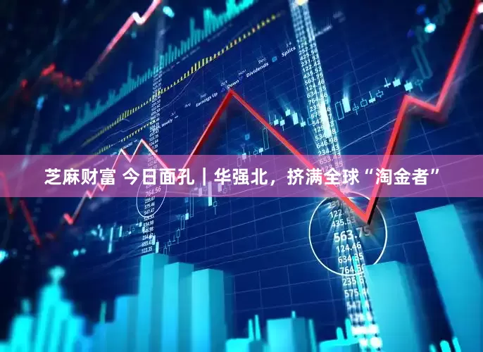 芝麻财富 今日面孔｜华强北，挤满全球“淘金者”